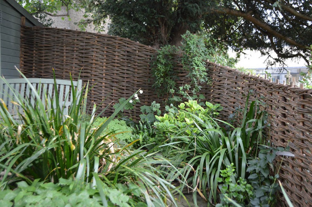 Willow Fences Lark Valley Willow Suffolk