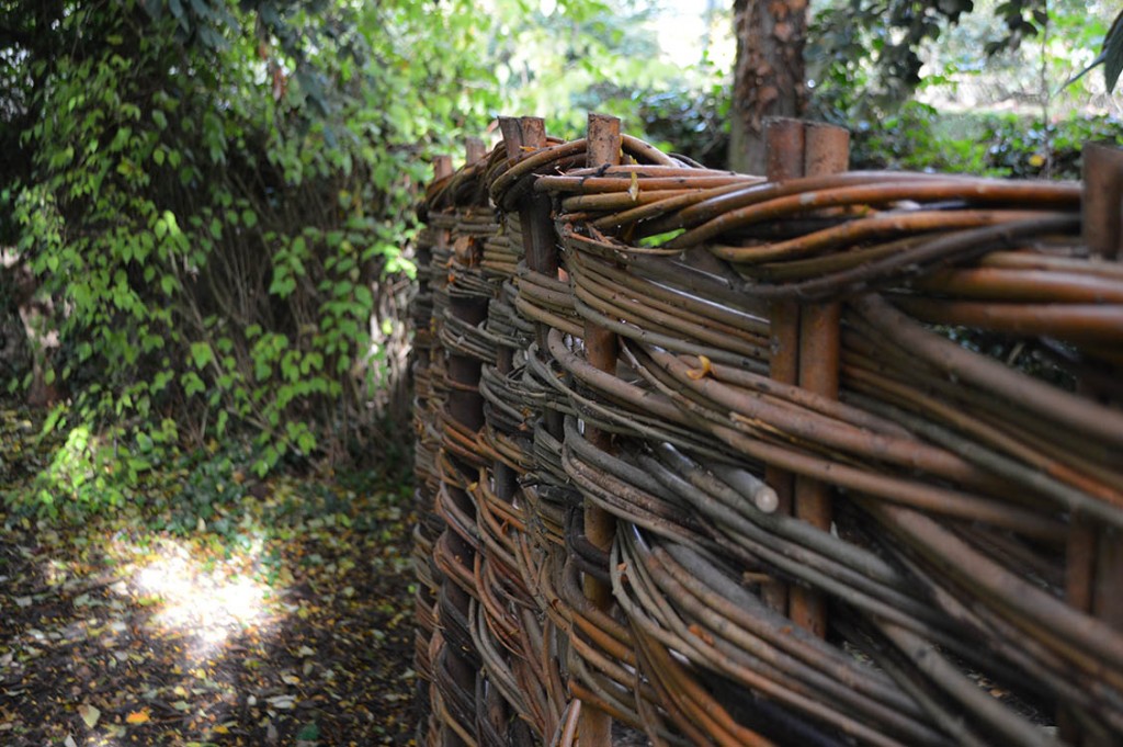 Willow Fences Lark Valley Willow Suffolk